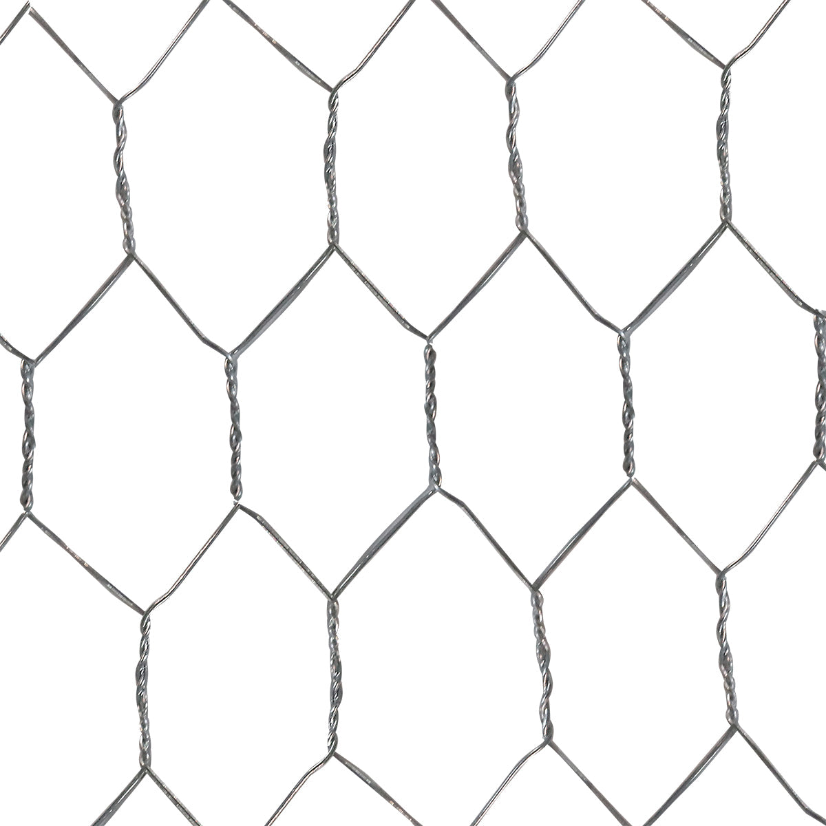 Tela Metálica Hexagonal P/ Pinteiro BWG-24 Tradestar 1MX50M - Rolo de tela de aço carbono zincado com malha hexagonal de 1 polegada, ideal para proteção de viveiros, cercar jardins e hortas. Resistente e durável.
