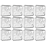 Kit 12 Tijolos Bloco de Vidro Flor Gelada 19x19x8 Tradestar - Blocos de vidro transparentes com design floral, ideais para divisórias, paredes e aplicações que buscam luminosidade e design moderno. Perfeitos para projetos de construção e decoração.